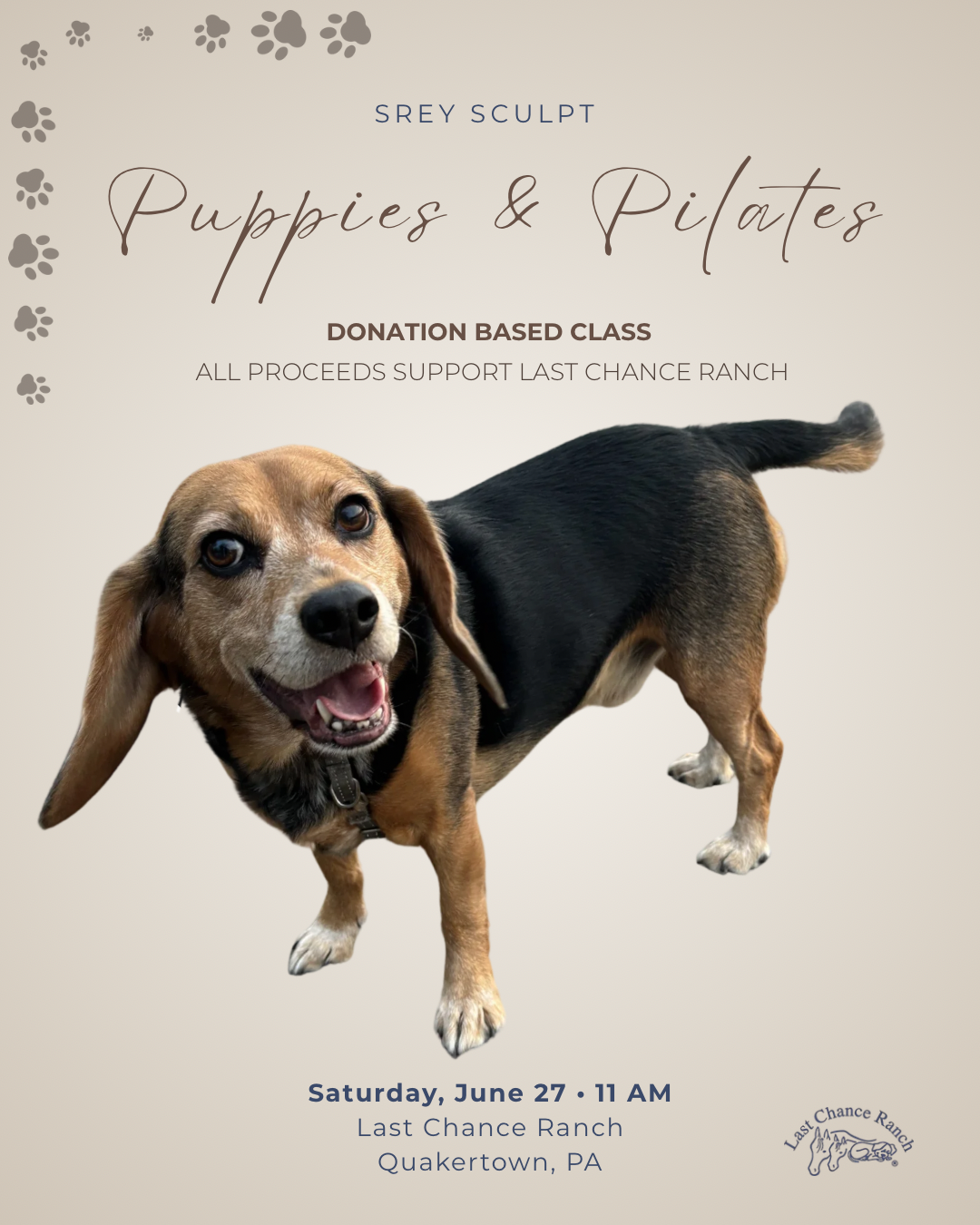 Puppies and Pilates
